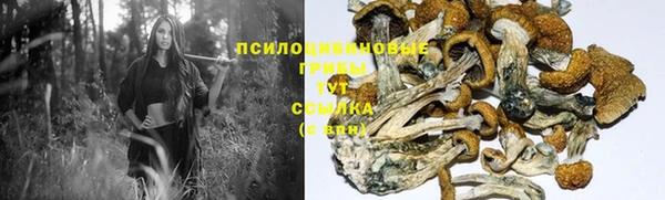 COCAINE Арсеньев